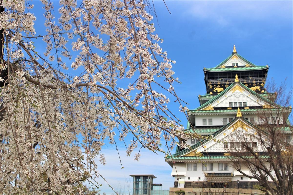 大阪城の日本100名城スタンプ・御朱印