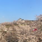 津山城の日本100名城・御城印情報