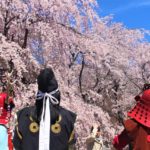 上田城の千本桜まつり